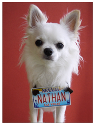 nathan